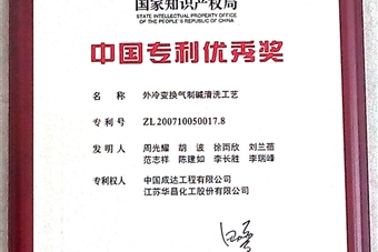 中國專利優(yōu)秀獎